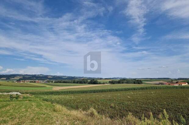 Grundstück kaufen in 4733 Heiligenberg (Bild 1)