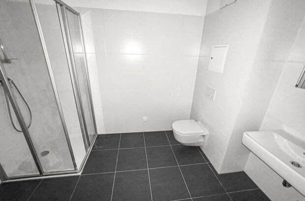 Wohnung mit Balkon mieten in 1220 Wien (Bild 4)