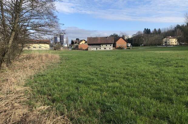 Gewerbeobjekt kaufen in 4760 Raab (Bild 4)