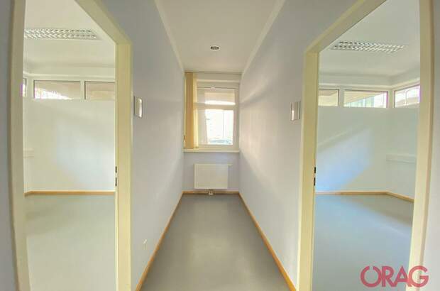 Gewerbeobjekt mieten in 5300 Hallwang (Bild 4)