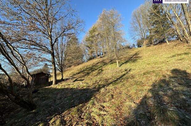 Grundstück kaufen in 8072 Fernitz (Bild 3)