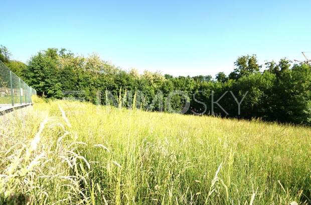 Grundstück kaufen in 4224 Wartberg (Bild 2)