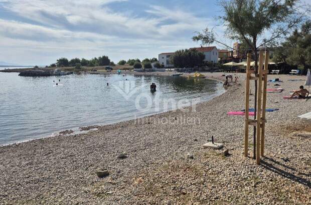 Haus kaufen in 23234 Vir (Bild 3)