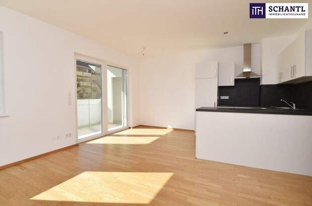 Terrassenwohnung mieten in 8020 Graz (Bild 2)