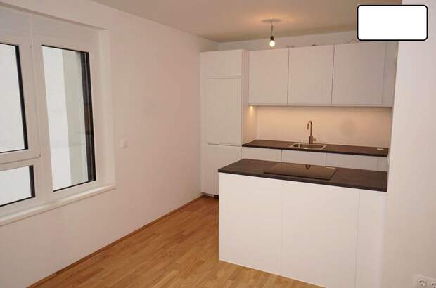 Terrassenwohnung mieten in 1160 Wien (Bild 2)