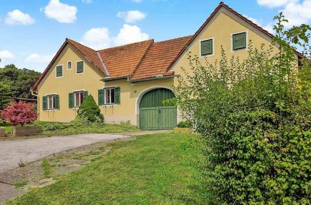 Haus kaufen in 8282 Loipersdorf