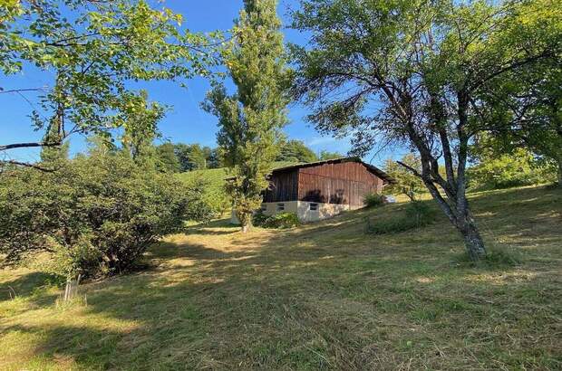 Gewerbeobjekt kaufen in 8462 Leutschach (Bild 5)