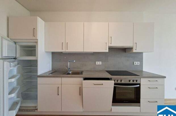 Terrassenwohnung mieten in 1020 Wien (Bild 3)