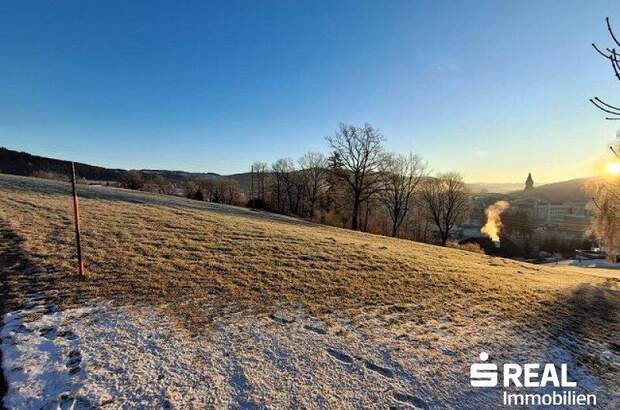 Grundstück kaufen in 4170 Haslach (Bild 1)