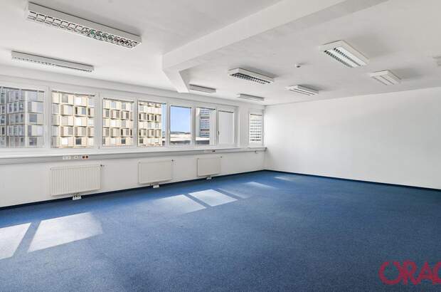 Gewerbeobjekt mieten in 1220 Wien (Bild 5)