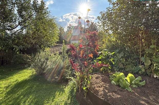 Wohnung kaufen in 3003 Gablitz (Bild 1)