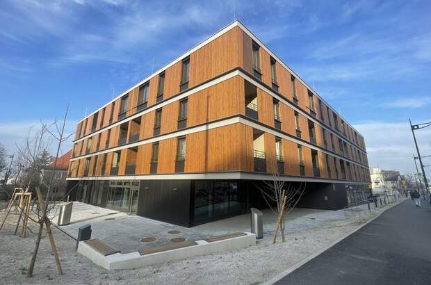 Gewerbeobjekt mieten in 2340 Mödling (Bild 1)