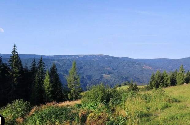 Grundstück kaufen in 8742 Obdach (Bild 1)