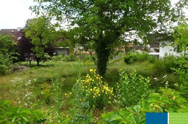 Grundstück kaufen in 8401 Kalsdorf (Bild 3)