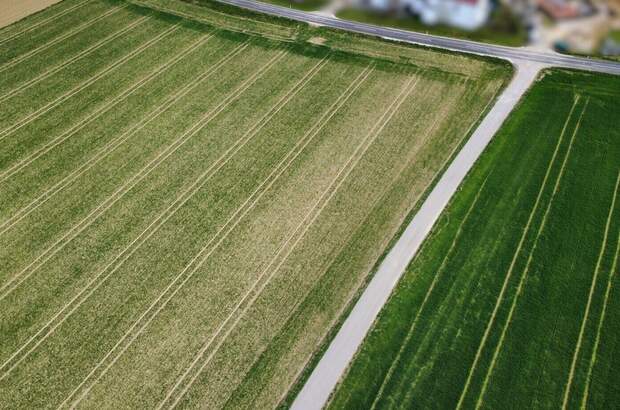 Gewerbeobjekt kaufen in 4654 Bad Wimsbach (Bild 2)