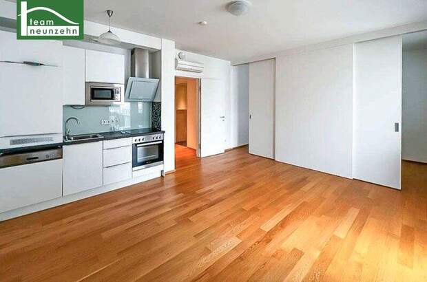 Terrassenwohnung mieten in 1020 Wien (Bild 1)