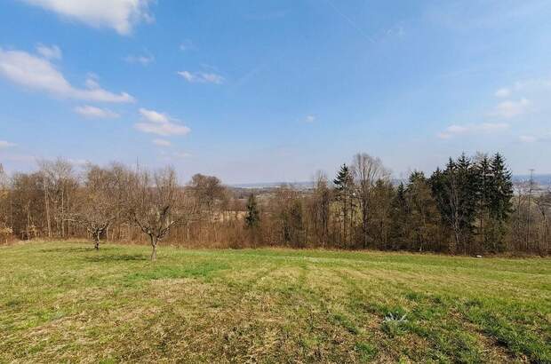 Grundstück kaufen in 7540 Güssing (Bild 3)