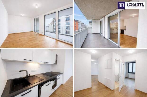 Terrassenwohnung mieten in 1120 Wien (Bild 3)