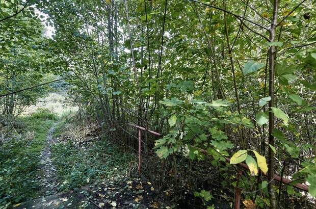 Grundstück kaufen in 3031 Pressbaum (Bild 5)