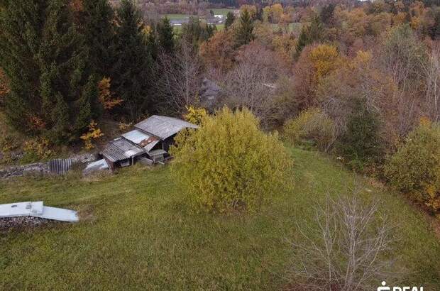 Grundstück kaufen in 9074 Keutschach (Bild 2)