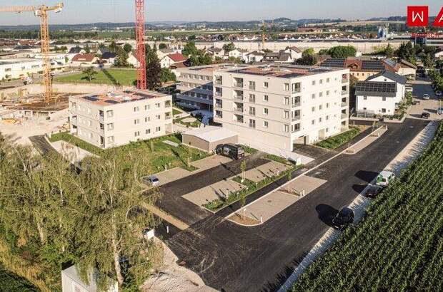 Terrassenwohnung mieten in 4623 Gunskirchen (Bild 4)