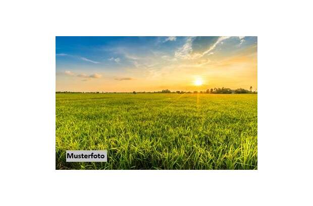 Lager kaufen in 2722 Muthmannsdorf (Bild 1)