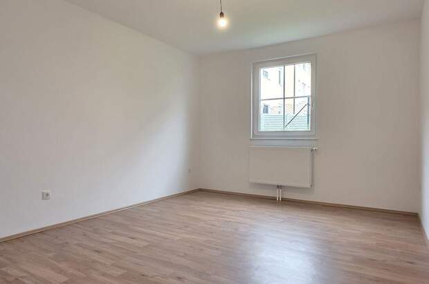 Gewerbeobjekt kaufen in 2483 Weigelsdorf (Bild 4)