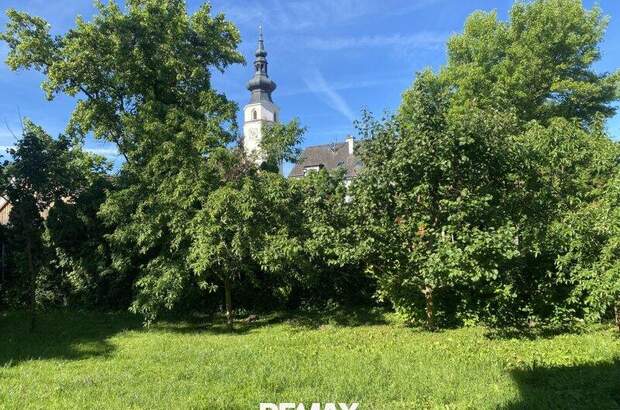 Wohnung mieten in 3433 Königstetten (Bild 1)