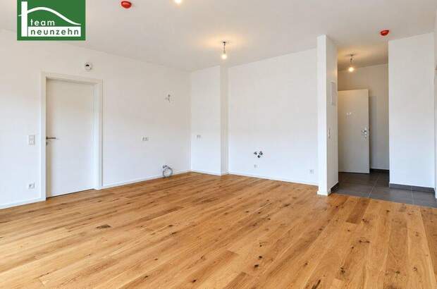 Terrassenwohnung kaufen in 7100 Neusiedl (Bild 2)