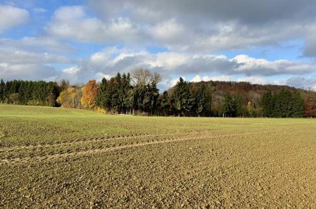 Grundstück kaufen in 4694 Ohlsdorf (Bild 4)