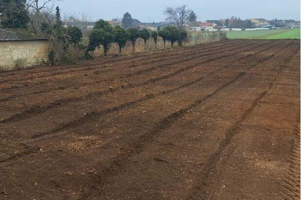 Grundstück kaufen in 2294 Marchegg (Bild 1)