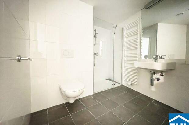 Terrassenwohnung mieten in 1030 Wien (Bild 5)