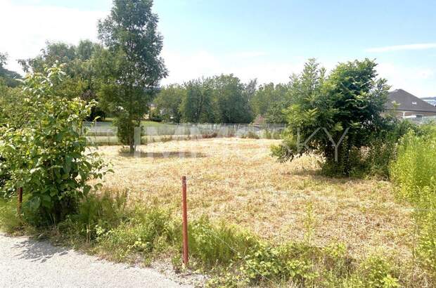 Grundstück kaufen in 4311 Schwertberg (Bild 4)
