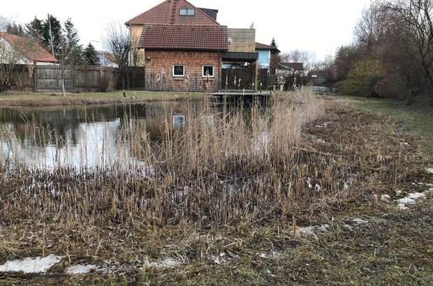 Grundstück kaufen in 4020 Linz (Bild 5)