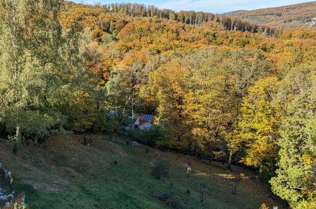 Haus mit Garten mieten in 1140 Wien (Bild 4)