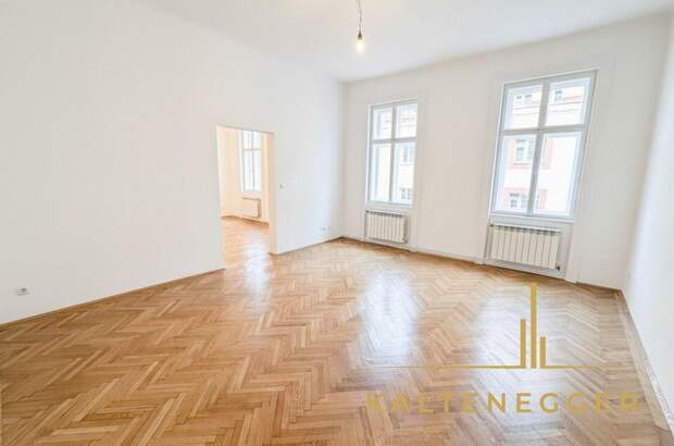 Altbauwohnung kaufen in 1090 Wien (Bild 3)