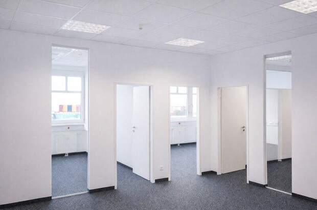 Büro / Praxis mieten in 2351 Wr. Neudorf (Bild 4)