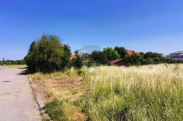 Grundstück kaufen in 7082 Donnerskirchen (Bild 5)