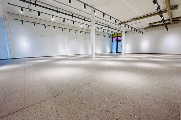 Gewerbeobjekt mieten in 8724 Spielberg (Bild 4)