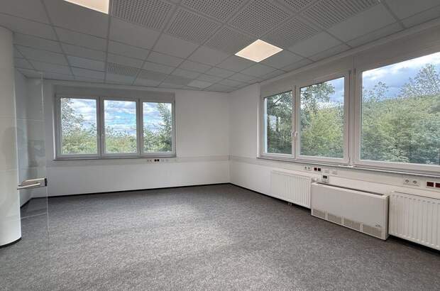 Gewerbeobjekt mieten in 8200 Gleisdorf (Bild 5)