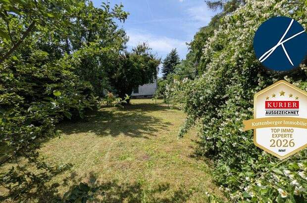 Einfamilienhaus kaufen in 2020 Hollabrunn (Bild 4)