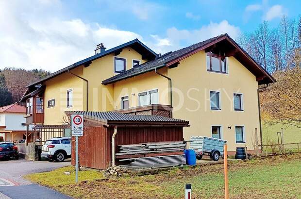 Einfamilienhaus kaufen in 4800 Attnang (Bild 1)