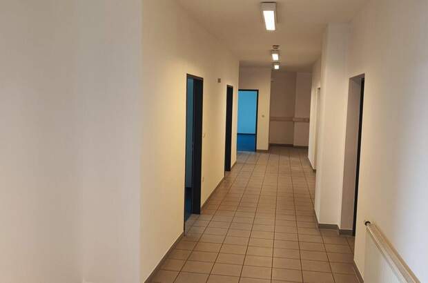 Gewerbeobjekt mieten in 1110 Wien (Bild 4)