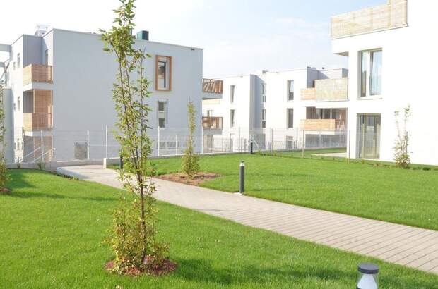 Wohnung mit Balkon mieten in 3500 Krems
