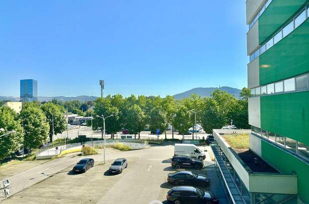 Gewerbeobjekt mieten in 4020 Linz (Bild 5)