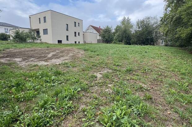 Grundstück kaufen in 4064 Kirchstetten (Bild 1)