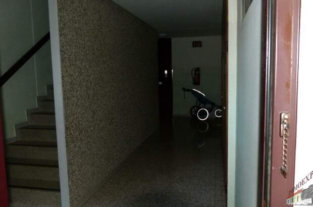 Terrassenwohnung kaufen in 2514 Traiskirchen (Bild 4)