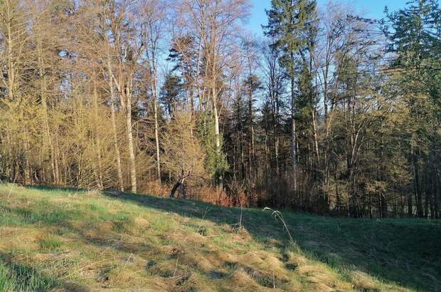 Haus kaufen in 8505 Sankt Nikolai (Bild 5)