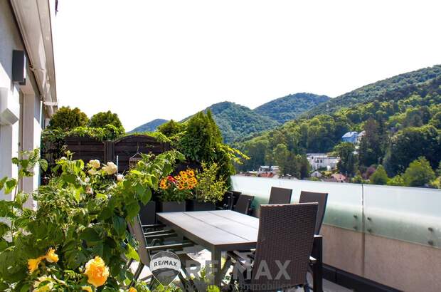 Terrassenwohnung kaufen in 2391 Kaltenleutgeben (Bild 3)