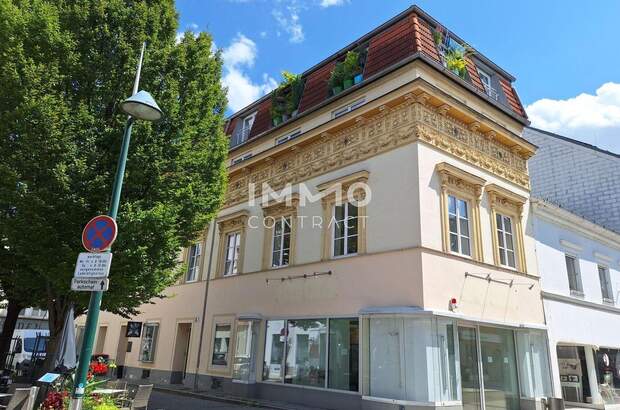 Altbauwohnung mieten in 4600 Wels (Bild 1)